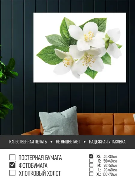 Постер на фотобумаге Цветы яблони, 40х30 см ПолиЦентр