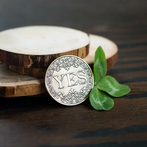 Монета сувенирная подарочная YES / NO (Золото) в пластиковом прозрачном футляре (d 4,1см, вес 21г)