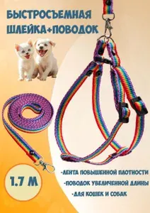 Шлейка быстросъемная с поводком, для кошек и собак, длина поводка 1,7м, лента повышенной плотности, радуга