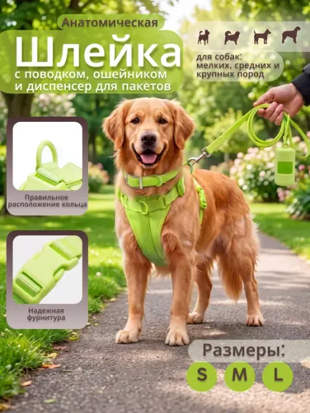 Шлейка с поводком, ошейником и диспенсер для пакетов