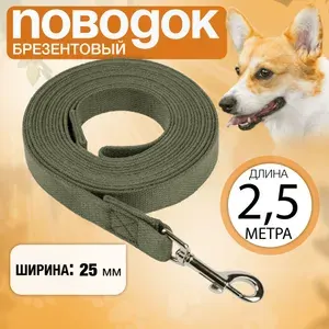 Поводок брезентовый 2,5м х 25мм, прошитый, с вращающимся карабином, для собак мелких и средних пород.