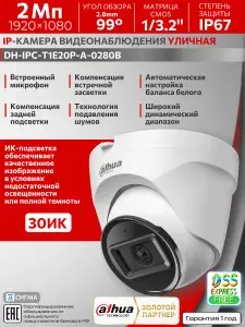 IP-камера видеонаблюдения Dahua DH-IPC-T1E20P-A-0280B 2мп 2.8мм PoE CMOS уличная микрофон