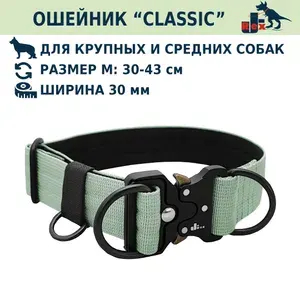 Ошейник "Classic", 30мм, металлическая пряжка "Кобра", М:30-43 см, Мята