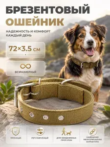 Ошейник для собак, двухслойный, брезентовый, 72х3,5 см