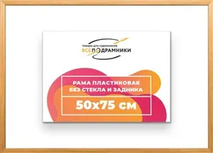 Рама багетная 50x75 для картин на холсте, пластиковая, без стекла и задника, ВсеПодрамники