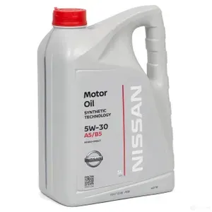 ON Motor Oil 5W-30 Масло моторное, Синтетическое, 5 л