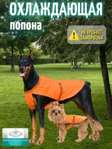Попона охлаждающая для собак/кошек, оранжевый, 80см