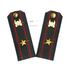 Погоны Вооруженных Сил РФ (Автомобильные войска, зеленые пластиковые ) - майор