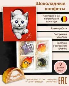 Конфеты ручной работы "Ассорти" 4 шт, Котенок, подарок женщине