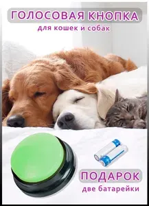 Кнопка для дрессировки собак с записью голоса и команд, интерактивная игрушка