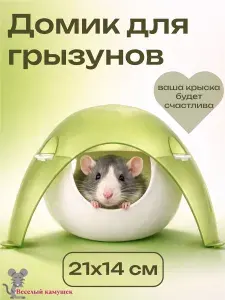 Домик для грызунов, крыс, птиц пластиковый подвесной зеленый