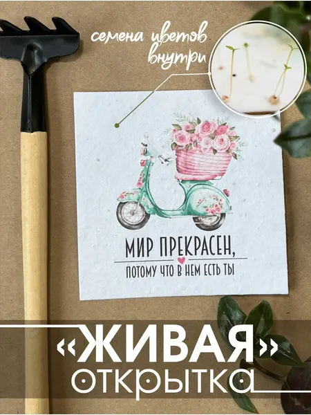 Живая открытка «Мир прекрасен» – оригинальный подарок для близкого человека, девушки или парня, для подруги