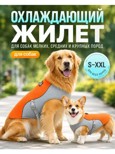 DakiPets Охлаждающий жилет попона для собак