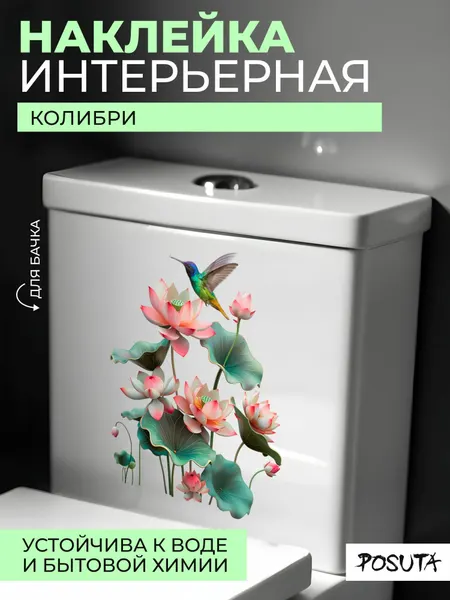 Наклейка интерьерная для декора на унитаз Колибри