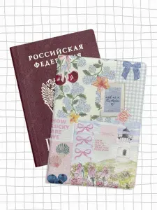 Обложка на паспорт, чехол для документов с принтом