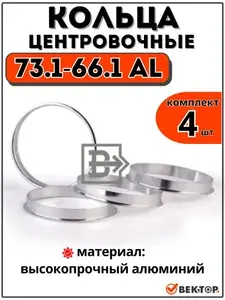 Центровочные кольца для автомобильных дисков 73,1-66,1 алюминий "ВЕКТОР" (комплект 4 шт)