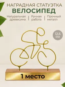 Кубок наградной "Велосипед" - 1 место, золотой подарок с гравировкой, металл
