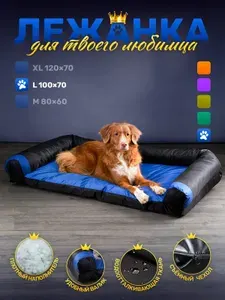 Диван лежанка антивандальный для собак крупных пород 100*70см Blue / black