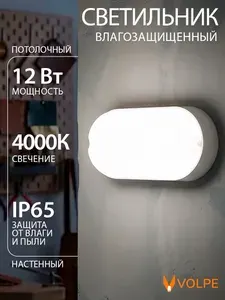 Светильник светодиодный 12Вт, настенно-потолочный, влагозащищенный Овал,165х80мм, 4000К, IP65, Volpe