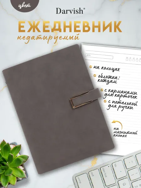 Darvish TM Ежедневник недатированный А5 100 л на кольцах в линейку