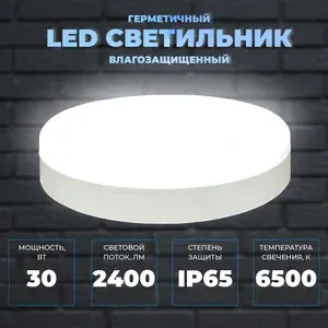 Светильник герметичный настенно-потолочный. Сверхяркий КРУГ 30Вт, со степенью защиты IP65. Размер 220х50. Холодный белый свет 6500К