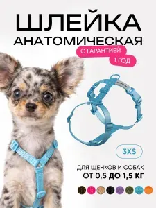 Шлейка для кошек и собак мелких пород анатомическая размер 3XS, светоотражающая, голубая