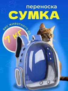 Рюкзак, сумка, переноска для животных собаки кошки, 42x31x28