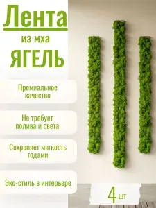 Лента из стабилизированного мха на скотче 4х60 см 4шт в комплекте