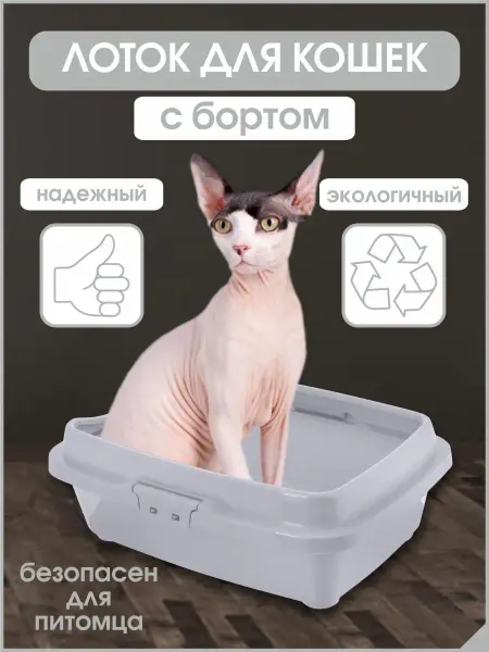 DDSTYLE Лоток большой для кошек с бортами