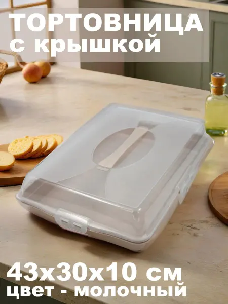 DDSTYLE Тортница прямоугольная с крышкой пластиковая, бежевая