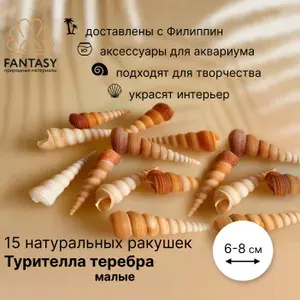Натуральная морская ракушка FANTASY Турителла теребра малая, 15 шт., 6-8 см