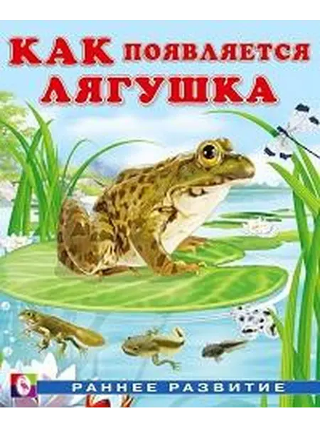 Книжный дом РФ Как появляется лягушка