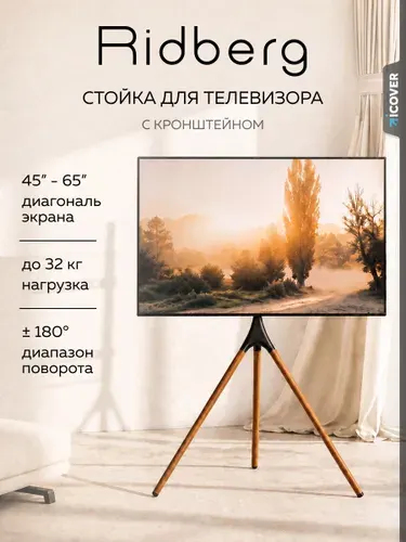 Стойка для телевизора с кронштейном Ridberg TV Floor Stand FS12-46F (Black)