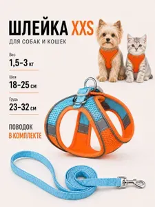 Анатомическая шлейка с поводком для прогулок с кошкой или собакой, размер XXS, цвет оранжевый