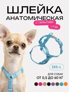Шлейка для кошек и собак мелких пород анатомическая размер XXS, светоотражающая, голубая