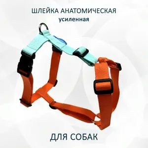 Шлейка анатомическая прогулочная для собак "Мятно-оранжевая" с регулировкой размера. L