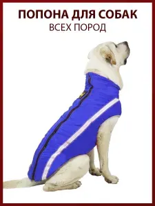 Попона для собак всех пород, размер XL, синий