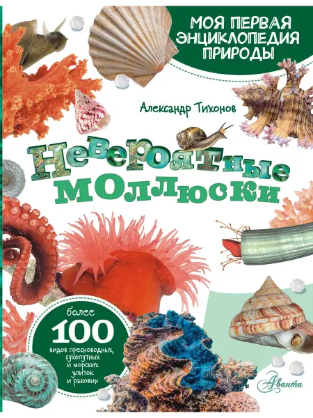 Книжный дом РФ Невероятные моллюски. Тихонов А. В