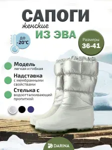 Сапоги Дарина женские зимние