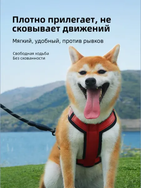 Мягкая регулируемая шлейка-антипобег, красный