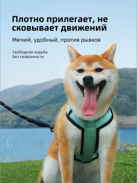 Мягкая регулируемая шлейка-антипобег, зеленый