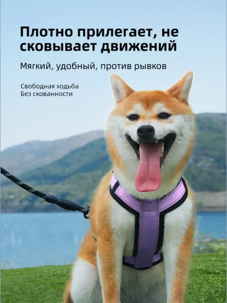 Мягкая регулируемая шлейка-антипобег, фиолетовый