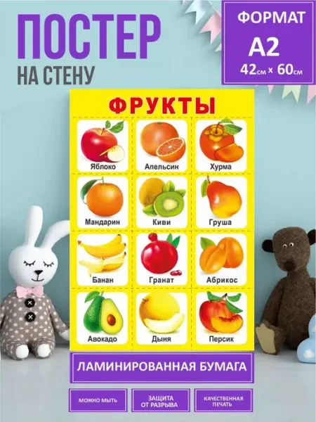 Внутреннее строение земноводных. Биология MAJIVVI HOME