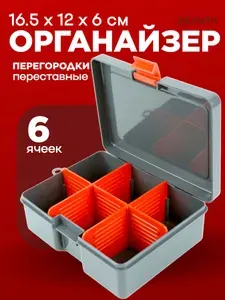 Контейнер для хранения пластиковый 16,5 х 12 х 6 см, с разделителями