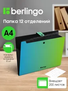 Папка для документов А4 семейная, органайзер для бумаг 12 отделений