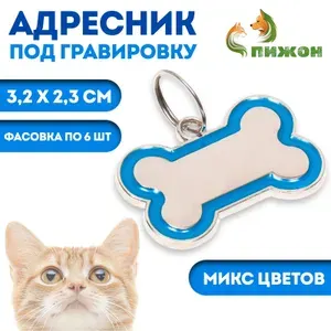 Адресник под гравировку Косточка объёмная, фасовка по 6 шт., 3.2 2.3 см, микс цветов