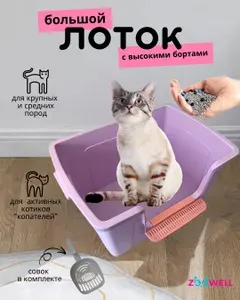 Туалет с высокими бортиками для кошек крупных пород, лоток кошачий большой с очистителем лап, цвет розовый, размер 61*42*30 см