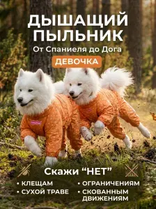 Пыльник для собак средних и крупных пород девочек хлопок 558/3SS