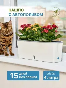 Горшок для цветов, кашпо с автополивом, горшок длинный пластиковый, ящик с поддоном с индикатором воды, длина 43 см