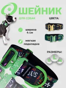 Ошейник AM-CHAMPION Серия "Joker" Ширина 4см Размер L (55-65см)